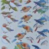 3D knipvel, vogels, 2451