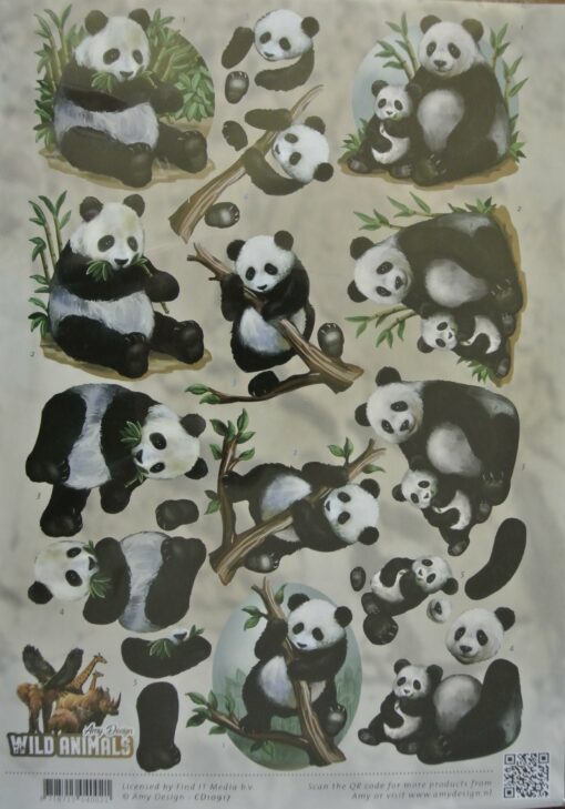 amy design, wild animals, panda