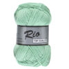 Lammy yarns Rio mint, 841