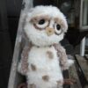 lichtbruin funny furry owl