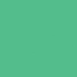 Borduurgaren Madeira Mouline groen 1212 (DMC913)