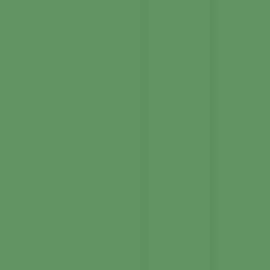 Borduurgaren Madeira Mouline groen 1402 (DMC988)