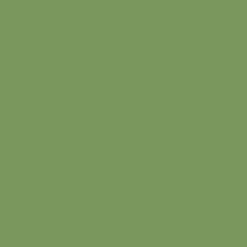 Borduurgaren Madeira Mouline groen 1502 (DMC470)