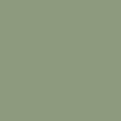 Borduurgaren Madeira Mouline groen 1510 (DMC3053)