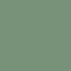 Borduurgaren Madeira Mouline groen 1513 (DMC522)