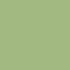 Borduurgaren Madeira Mouline groen 1603 (DMC3364)