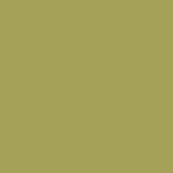 Borduurgaren Madeira Mouline groen 1605 (DMC3013)