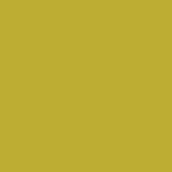 Borduurgaren Madeira Mouline groen 1610 (DMC734)