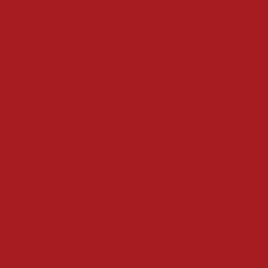 Borduurgaren Madeira Mouline rood 2502 (DMC3777)