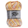 Lammy yarns Rio multi frisse kleuren 634 katoen garen