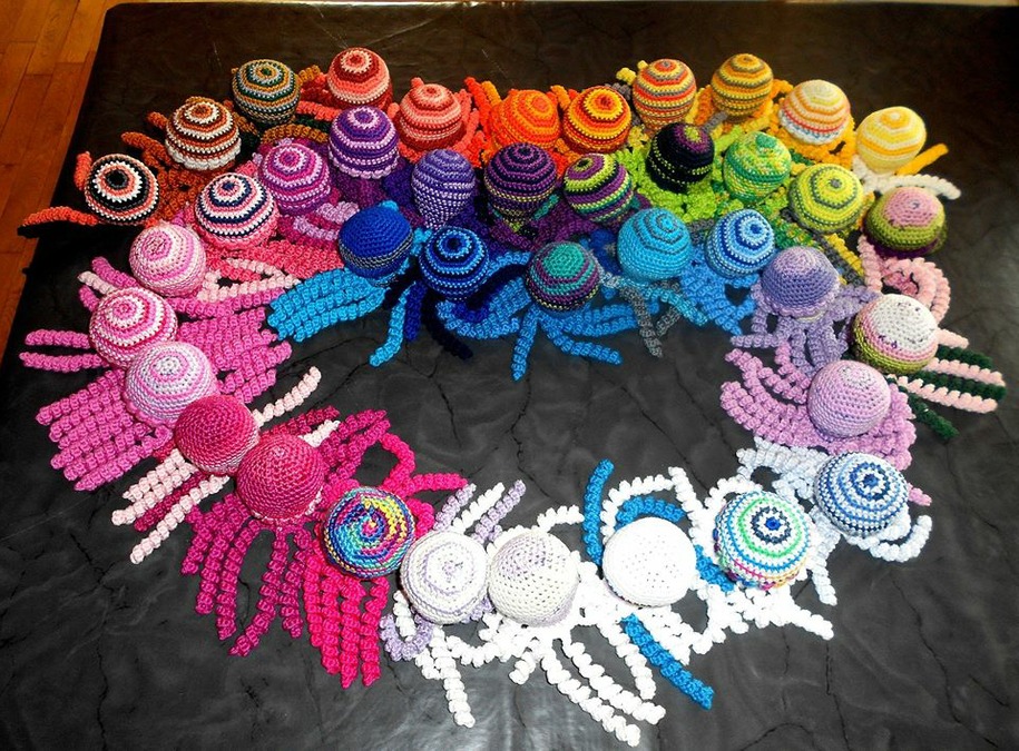 Voorbeeld foto van inktvisjes van de Kleine inktvisjes haken groep