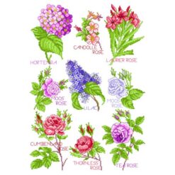 Borduurpatroon Bloemen magie 005 - Lindner's Kruissteek
