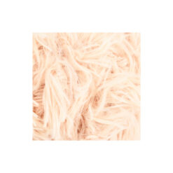 fauve camel 138 dichtbij