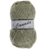 canada 495 groen